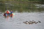 15th Annual Red Green River Regatta