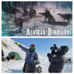NOVA TV Program on Alaskan Dinosaurs Stars UAF Researcher