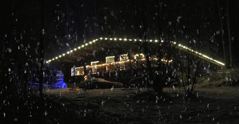 Dark Winter Nights 2021: Christmas Special
